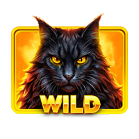 WILD