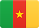 Flag of Cameroon