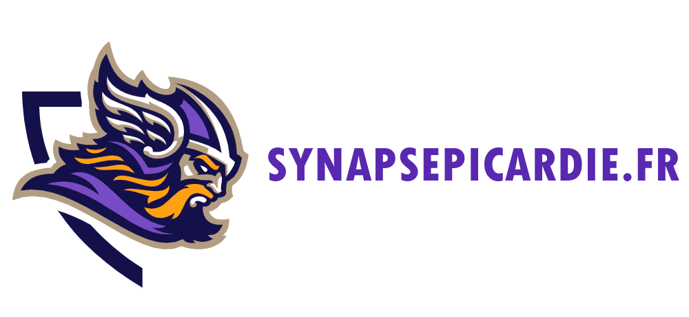 synapsepicardie.fr