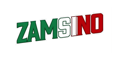 zamsino-it logo