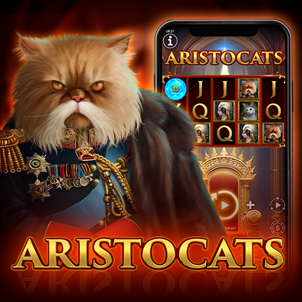 We’re adding a new cat-themed slot to our game portfolio!