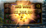NEW SLOT RELEASES | Big Brown