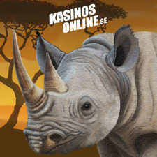 Review from kasinosonline.se