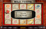 TOP FRUIT SLOTS 2025 | Try WILD FRUITS SLOT now!