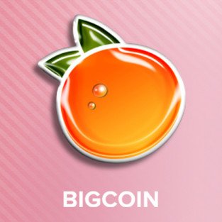 Bigcoingambling.com review