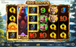 Big Brown: tragamonedas con osos y tiradas gratis