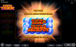 Newest Slot Game Available from Endorphina | MOON TIGER