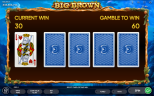 NEW SLOT RELEASES | Big Brown
