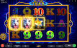 WATER TIGER | Newest Oriental Slot Game Available from Endorphina