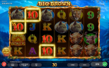 NEW SLOT RELEASES | Big Brown