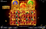 Burning Coins 40 by Endorphina | Play Demo Game