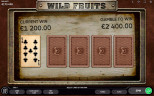 TOP FRUIT SLOTS 2025 | Try WILD FRUITS SLOT now!