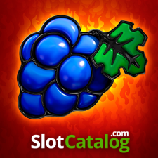 slotcatalog