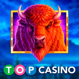 From: top-casino.nl