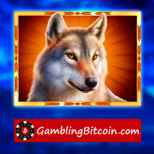 Review from GamblingBitcoin