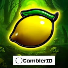 Gamblegrid review on Endorphina's slot game Burning Hell 3000