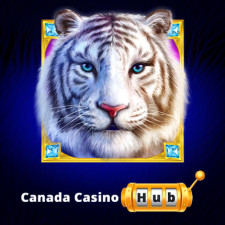 From :Canada Casino Hub