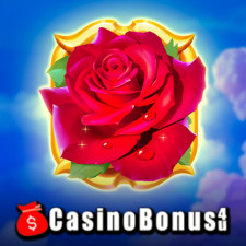 Review from Casinobonus4u.co