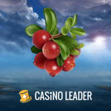 Review from casinoleader.com