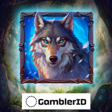Endorphina's Druids Fortune review by Gamblegrid