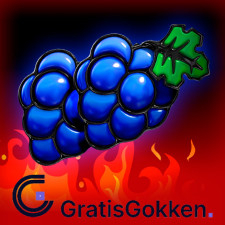 From :gratisgokken.nl