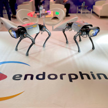 ICE London 2022 Cyber Wolf