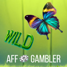 Review from Affgambler.com