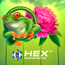 Review from Casinohex.se