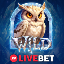 LiveBet review of Endorphina 3 Royal Dracos slot featuring a fantasy owl and magical blue-themed artwork