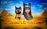 PREMIUM MYSTIC SLOTS 2025 | Try TEMPLE CATS GAME now!