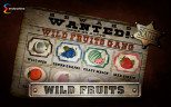 TOP FRUIT SLOTS 2025 | Try WILD FRUITS SLOT now!