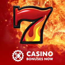 Review from CasinoBonusesNow.com