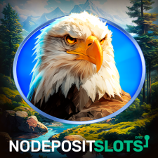 Nodepositslots