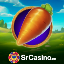 Srcasino.co