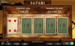 Play Safari slot by top casino game developer!
