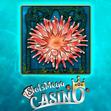 From: slotsmegacasino.com