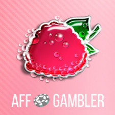 Review from Affgambler.com