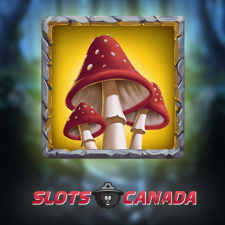 Review from slots canada