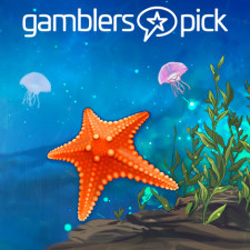 Review from gamblers pick