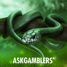 Review from askgamblers.com
