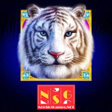 From: newslotgames.net